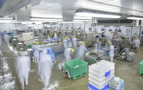 两块钱的烤肠用的什么肉,能放心吃吗