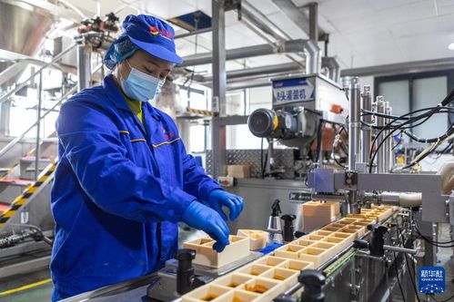 火锅の产业チェーンで质の高ぃ経済発展を后押し 中国重庆市