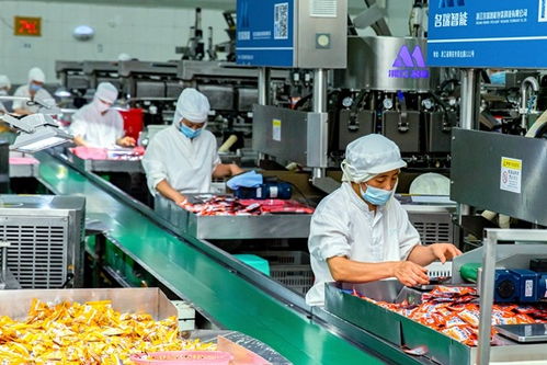 从 会海突围 到 服务上岸 北碚以高质量党建统领改革与发展