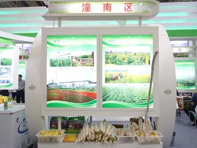 活动聚焦 重庆——山城的魅力与活力